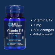 Life Extension BioActive B6 B12 Complete B-Complex B3 Niacin No Flush BioActive Folate & Vitamin B12 60/90 Vegetarian Capsules
