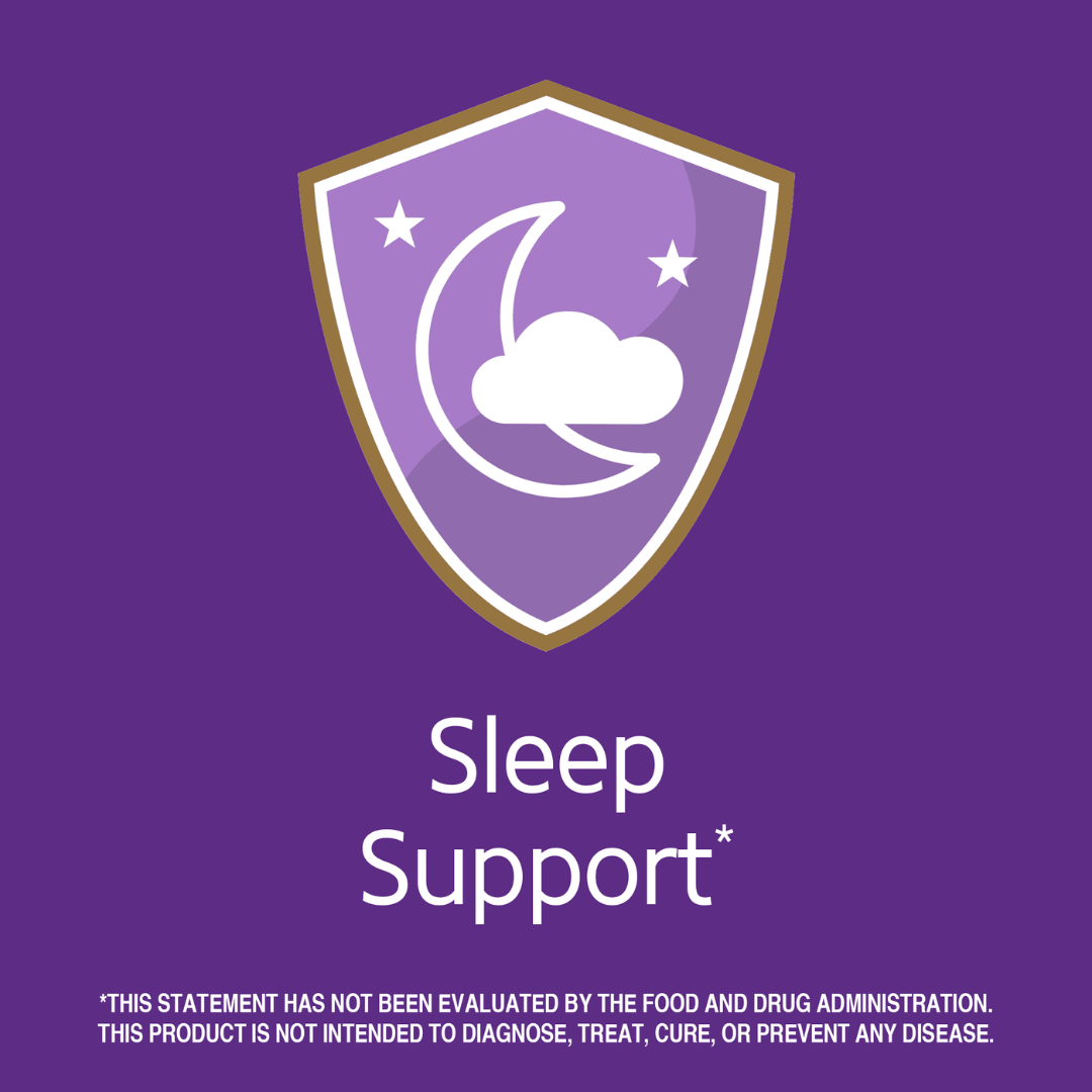 21ST CENTURY Melatonin 3mg 5mg 10mg 90 - 120 Tablets Sleep Support with Quick Dissolve Cherry Option